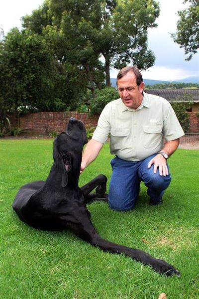 Hond vind sy baas by Tuinroetedam